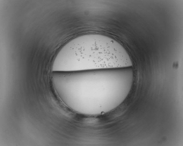 X0000111220266200907021007