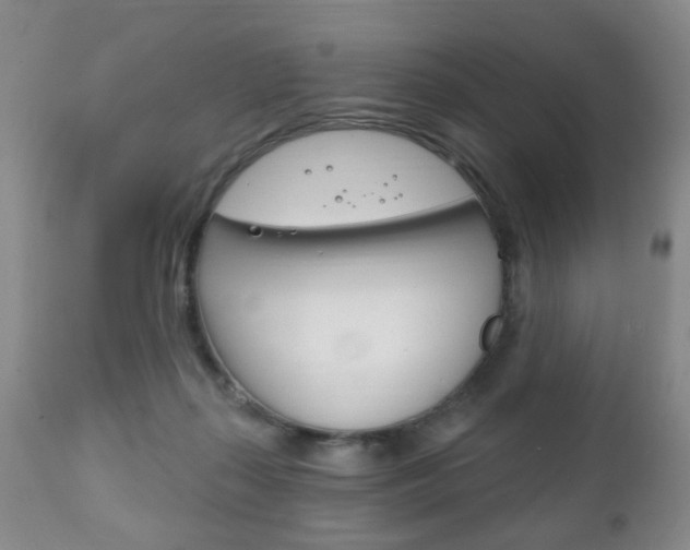 X0000111220267200907021007