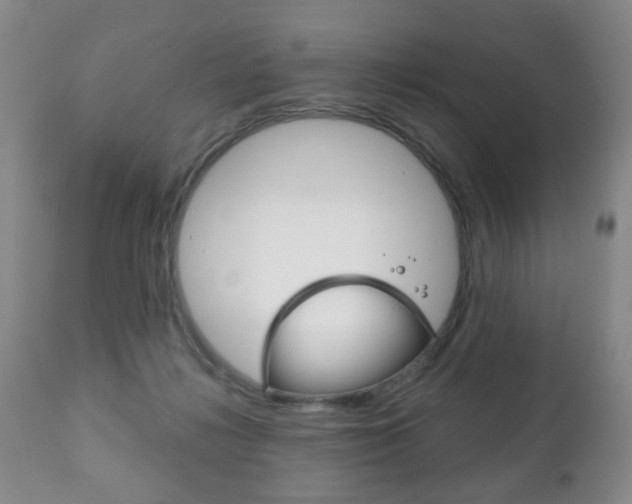 X0000111220268200907021007
