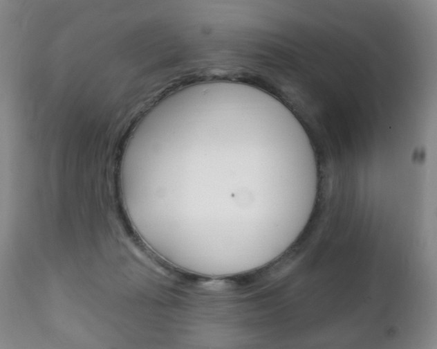 X0000111220269200907021007