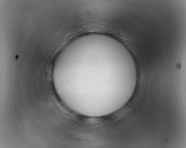 X0000111220273200907021007