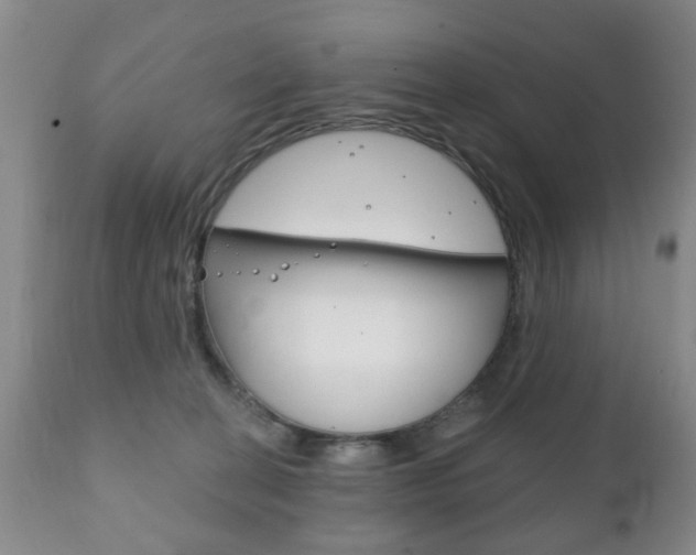 X0000111220274200907021007