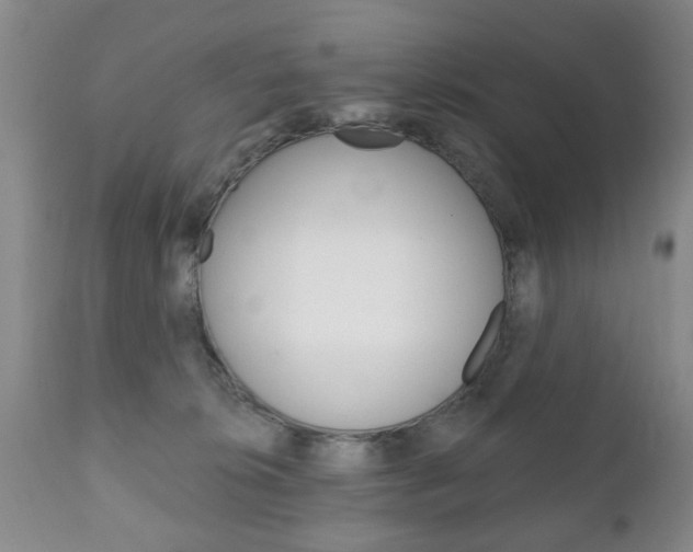 X0000111220276200907021007