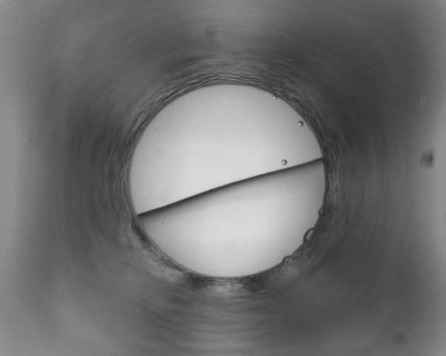 X0000111220278200907021007