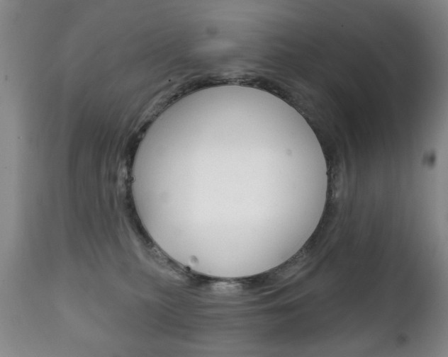 X0000111220279200907021007