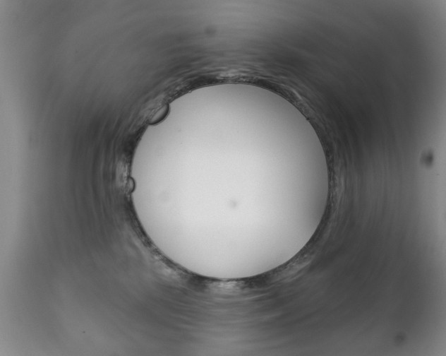 X0000111220281200907021007