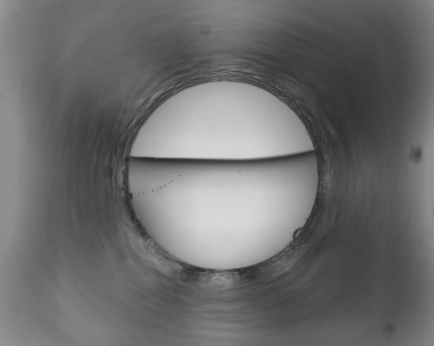 X0000111220282200907021007