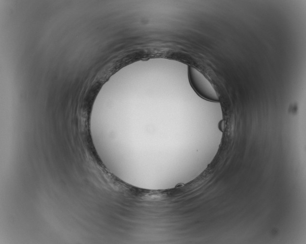 X0000111220283200907021007