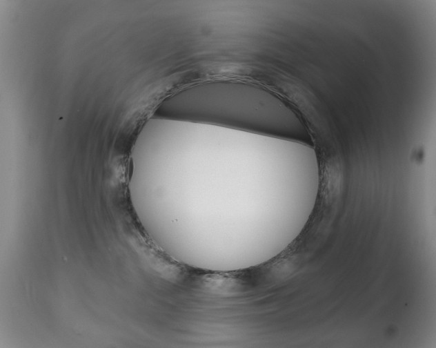 X0000111220284200907021007