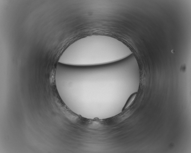 X0000111220285200907021007