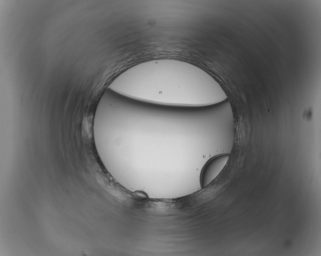 X0000111220286200907021007