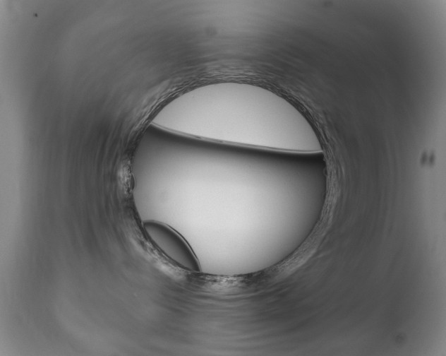 X0000111220288200907021007