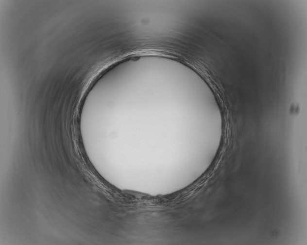 X0000111220289200907021007