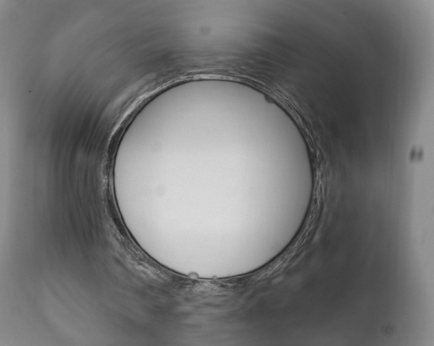 X0000111220290200907021007