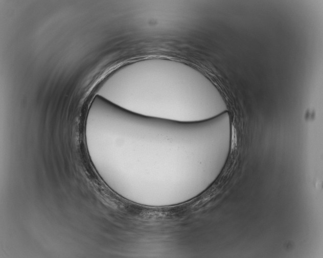 X0000111220291200907021007