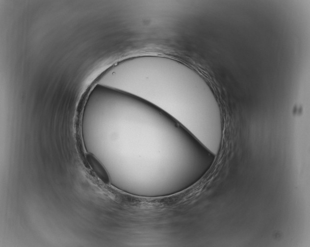 X0000111220292200907021007