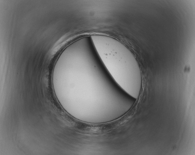 X0000111220295200907021007