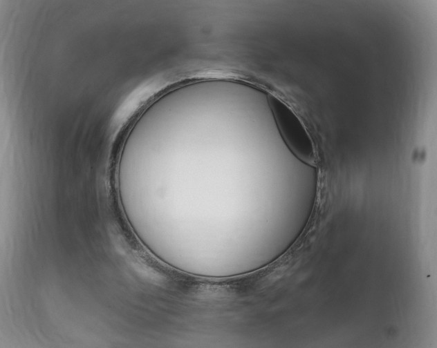X0000111220296200907021007