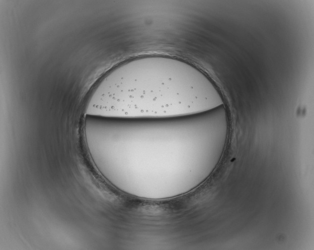 X0000111220299200907021007