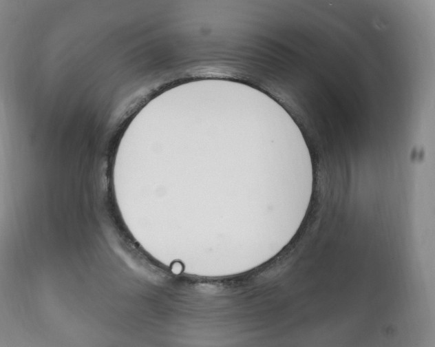 X0000111220302200907021006