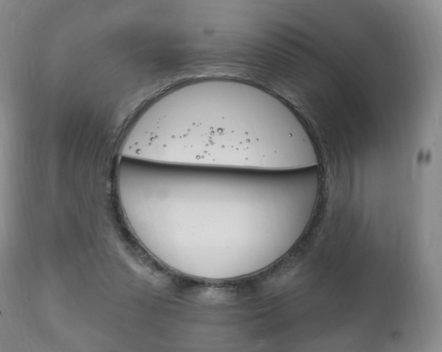X0000111220303200907021006