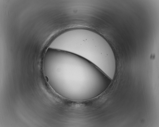 X0000111220304200907021006