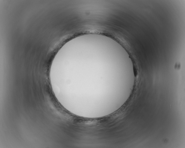 X0000111220306200907021006