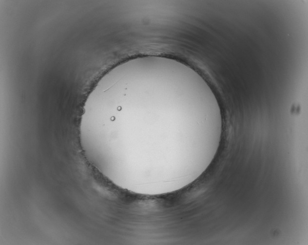 X0000111220307200907021006