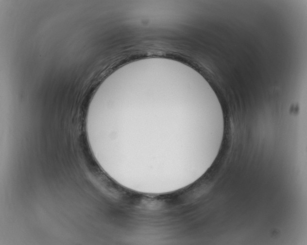 X0000111220311200907021006