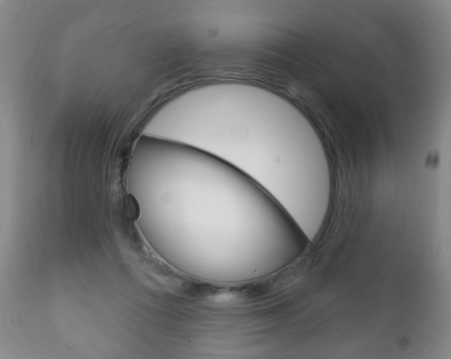 X0000111220312200907021006