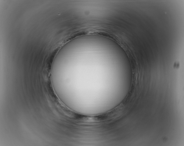 X0000111220316200907021006