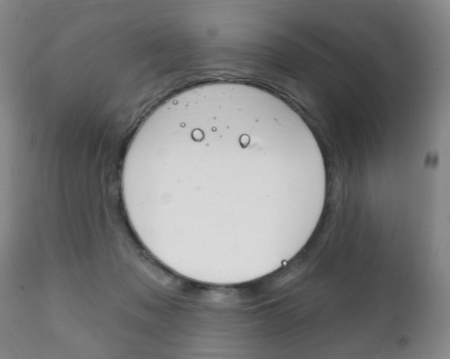 X0000111220317200907021006