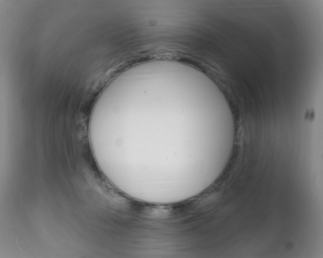 X0000111220318200907021006