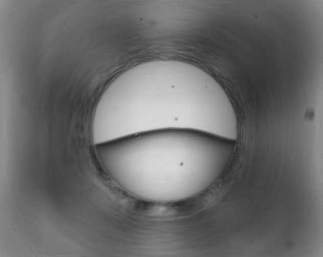 X0000111220319200907021006