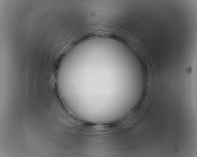 X0000111220320200907021006