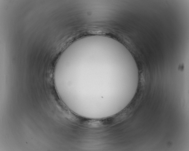 X0000111220322200907021006