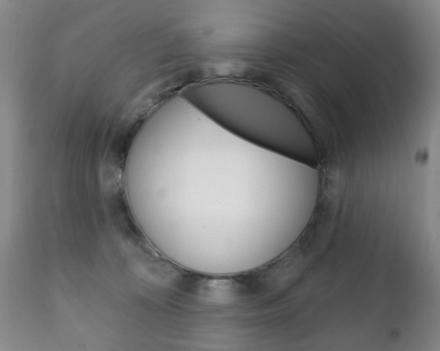 X0000111220324200907021006