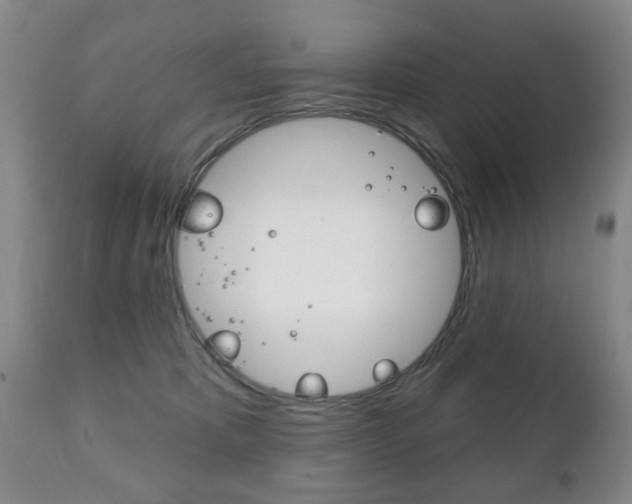 X0000111220325200907021006