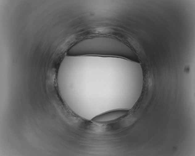 X0000111220328200907021006