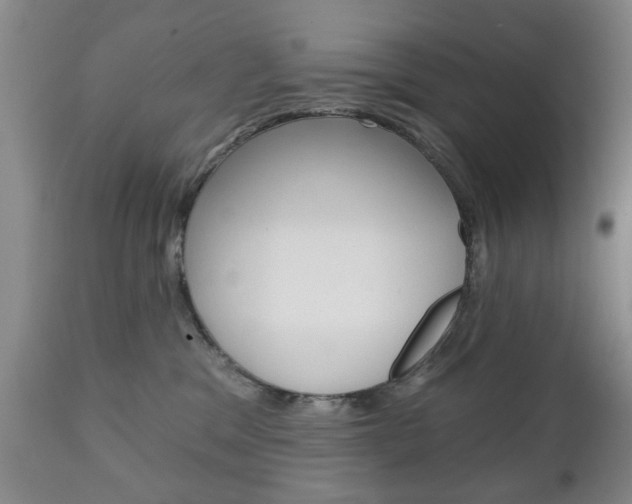 X0000111220329200907021006