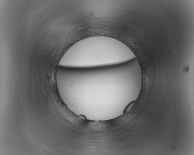 X0000111220331200907021006