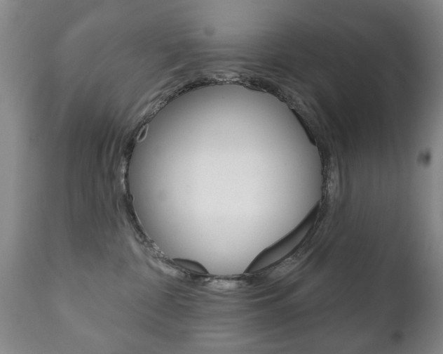 X0000111220332200907021006
