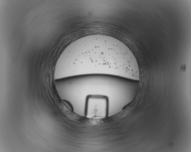 X0000111220333200907021006