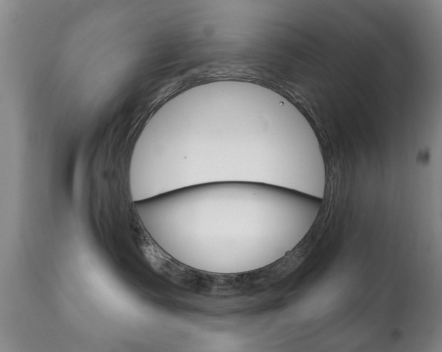 X0000111220335200907021006