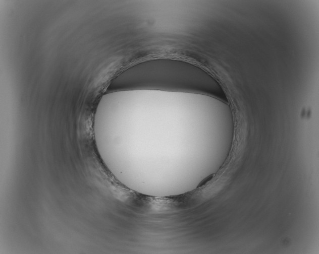 X0000111220336200907021006