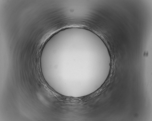 X0000111220337200907021005