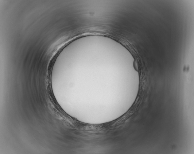 X0000111220338200907021005