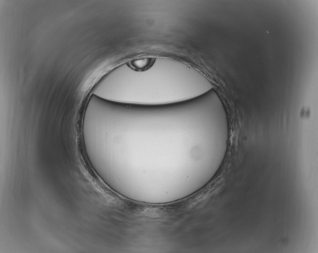 X0000111220341200907021005