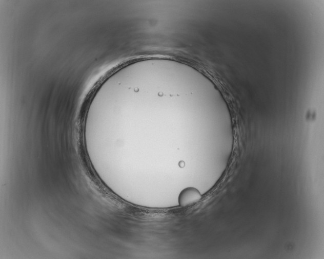 X0000111220342200907021005