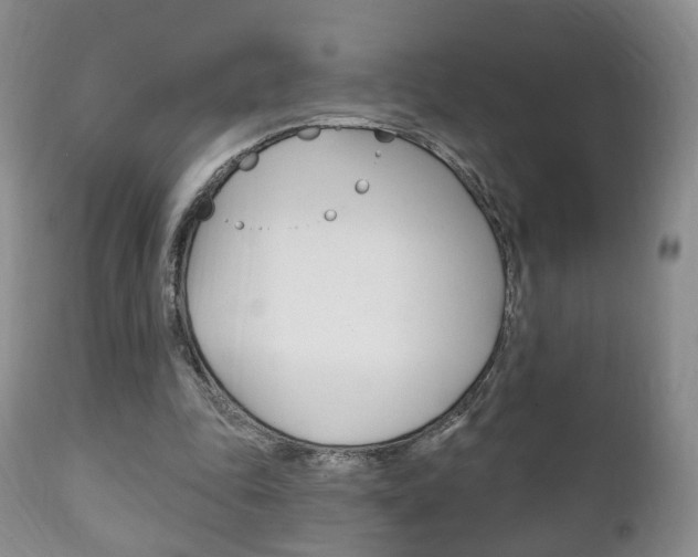 X0000111220343200907021005